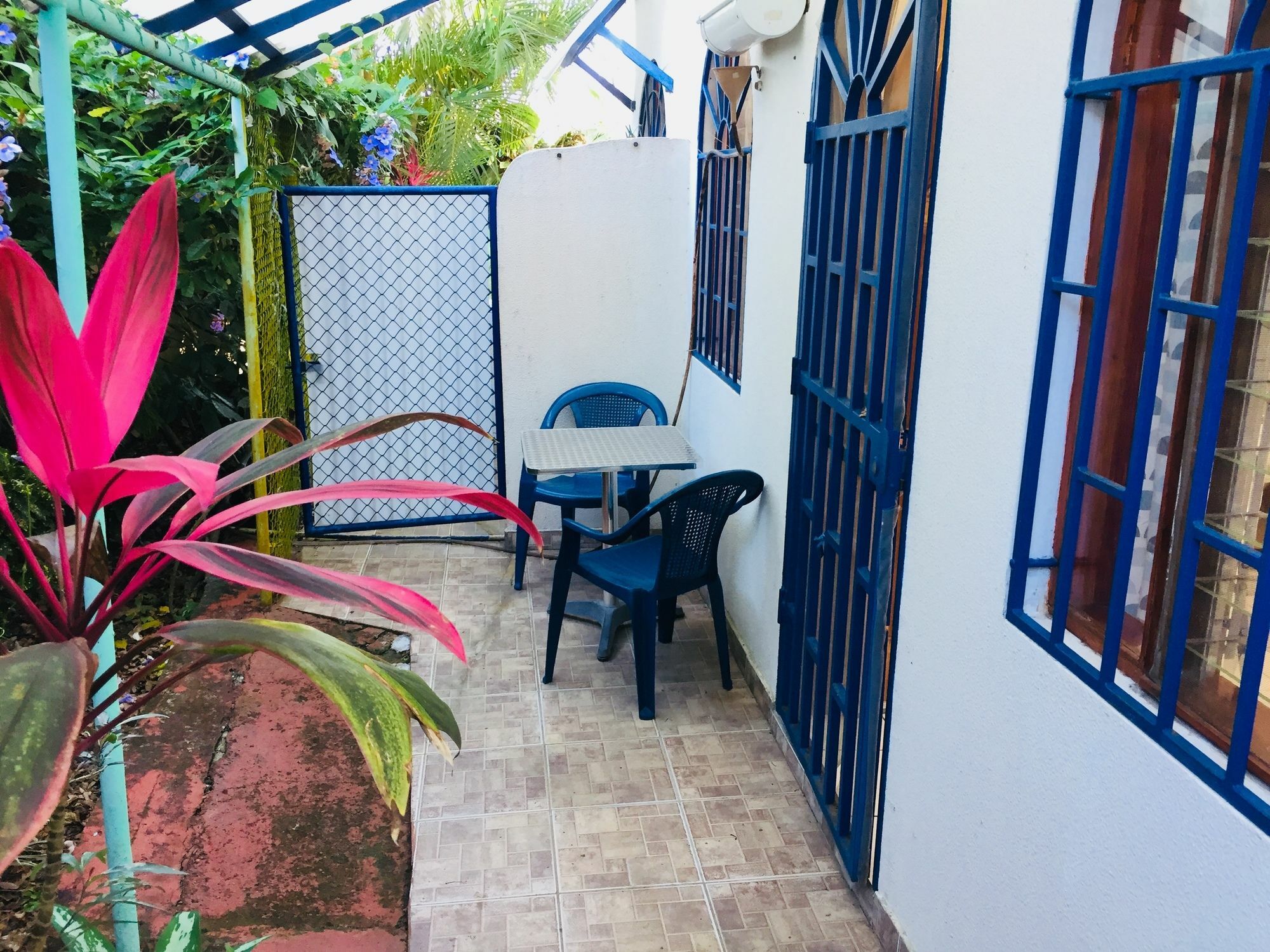 Bed and Breakfast La Perlita Jacó Exteriér fotografie